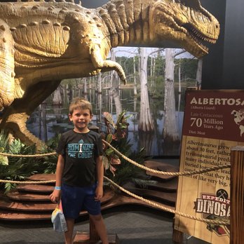 Bishop Museum - Museums Near Me - Honolulu, Hawaii