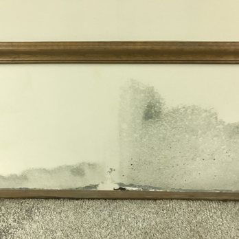 All Suburban Mold Services - Mold growing on drywall - Damage Restoration Near Me - Wheaton, Illinois