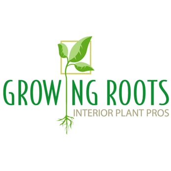 Growing Roots La Jolla - logo - Landscaping Near Me Growing Roots La Jolla - logo - Landscaping Near Me