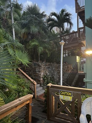 The Green Iguana Hotel by null