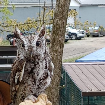 Wildlife Works - Community Service/Non-Profit Near Me Wildlife Works - Community Service/Non-Profit Near Me