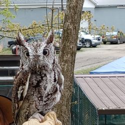 Wildlife Works