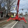 Photo of Franklin Tree Service