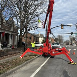 Franklin Tree Service