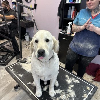 Spoiled Petz - Pet Groomers Near Me - Reno, Nevada Spoiled Petz - Pet Groomers Near Me - Reno, Nevada