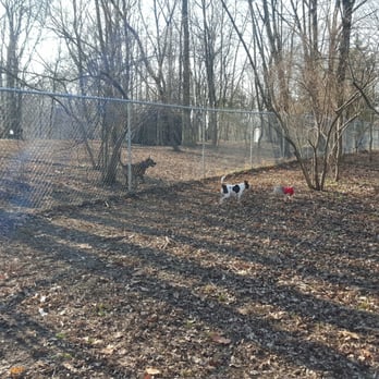 Reservoir Dogs Park - Dog Parks Near Me - Phoenixville, Pennsylvania Reservoir Dogs Park - Dog Parks Near Me - Phoenixville, Pennsylvania