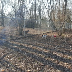 Reservoir Dogs Park