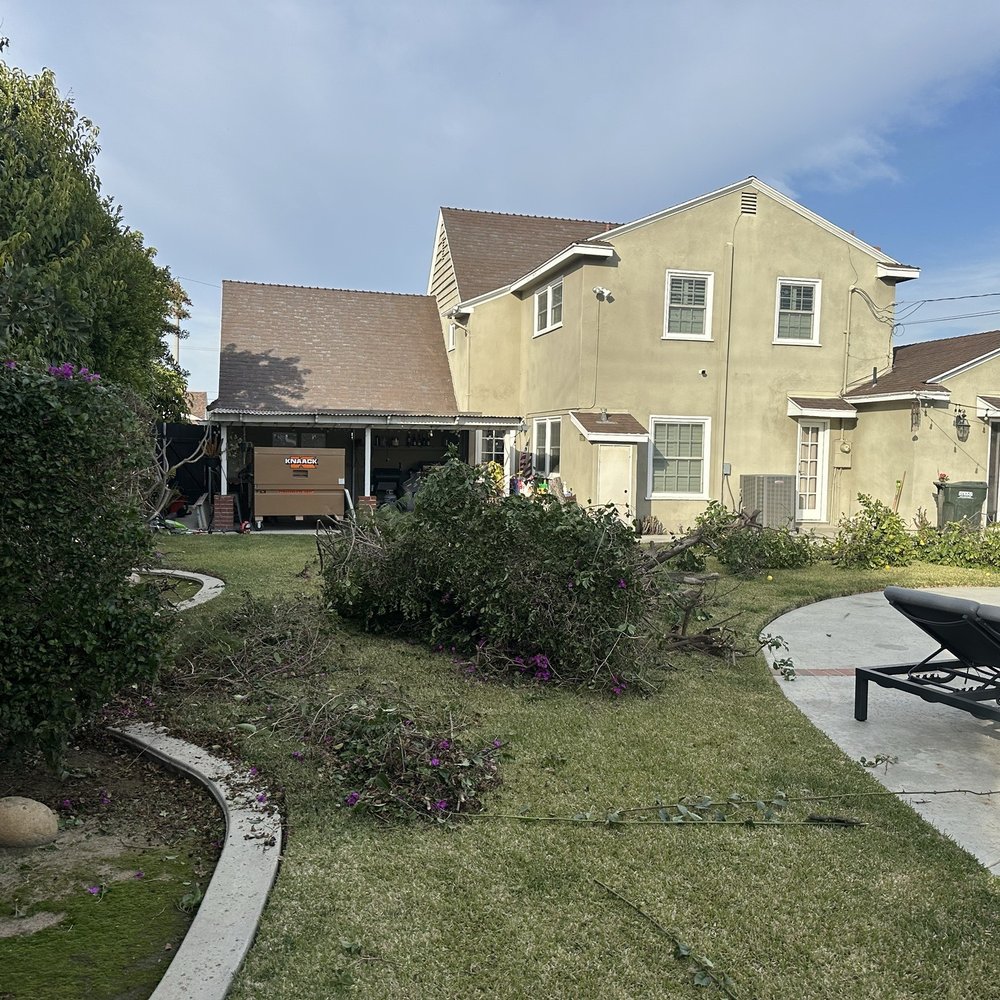 Americas Finest Trailer - Tree debris removal - Junk Removal & Hauling Near Me Americas Finest Trailer - Tree debris removal - Junk Removal & Hauling Near Me