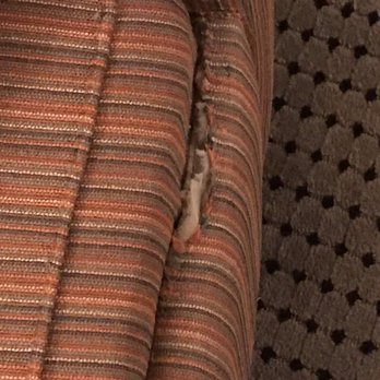 Comfort Suites University - Torn couch. No cushioning and smelled - Hotels Near Me - Abilene, Texas Comfort Suites University - Torn couch. No cushioning and smelled - Hotels Near Me - Abilene, Texas