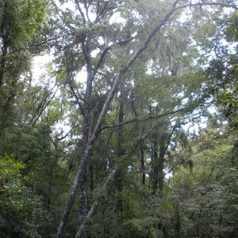 Hogtown Creek Greenway - Parks Near Me - Gainesville, Florida
