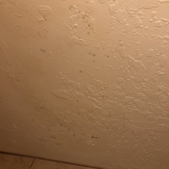 Surfer Beach Hotel - Mold in bathroom - San Diego, CA