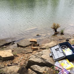 Dog Creek Campground - The fishing spot