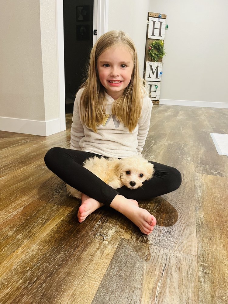 WISCONSIN PUPPY PATCH Updated August 2024 44 Photos & 10 Reviews