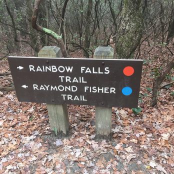 Gorges State Park - Signage for various falls/trails - Parks Near Me - Sapphire, North Carolina Gorges State Park - Signage for various falls/trails - Parks Near Me - Sapphire, North Carolina