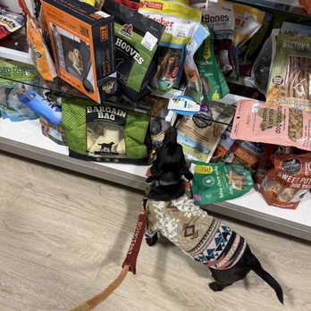 HomeGoods - Snackies for the pups! - Home Decor Near Me - Seal Beach, California