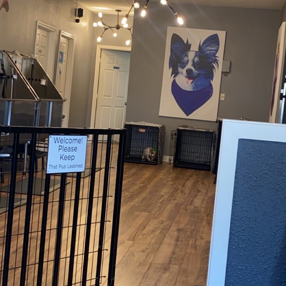 Bitches N Bubbles - How cute is this place and the best and friendly customer service. - Pet Groomers Near Me - Long Beach, California Bitches N Bubbles - How cute is this place and the best and friendly customer service. - Pet Groomers Near Me - Long Beach, California