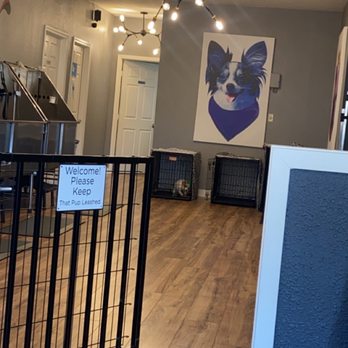 Bitches N Bubbles - How cute is this place and the best and friendly customer service. - Pet Groomers Near Me - Long Beach, California Bitches N Bubbles - How cute is this place and the best and friendly customer service. - Pet Groomers Near Me - Long Beach, California