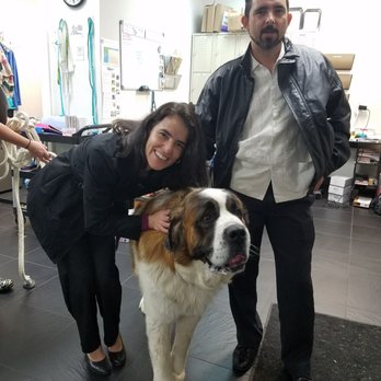 Cottage Animal Clinic - The day that our beautiful baby got spayed!! - Veterinarians Near Me - Stantonsburg, North Carolina Cottage Animal Clinic - The day that our beautiful baby got spayed!! - Veterinarians Near Me - Stantonsburg, North Carolina