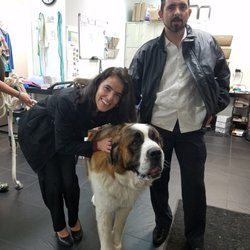 Cottage Animal Clinic - The day that our beautiful baby got spayed!!