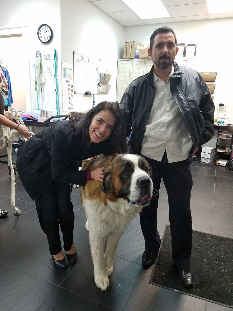 COTTAGE ANIMAL CLINIC Updated August 2024 105 W Commercial Ave