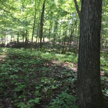 Medoc Mountain State Park - Parks Near Me - Hollister, North Carolina