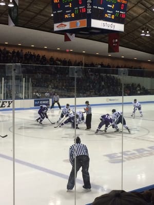 Ingalls Ice Rink by null