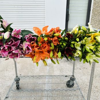 Houston Wholesale Flowers - Florists Near Me - Houston, Texas Houston Wholesale Flowers - Florists Near Me - Houston, Texas