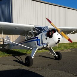Some of Adventure flights birds..