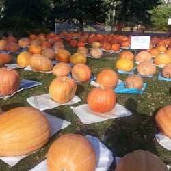 Eastburn Farm