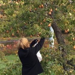 High Hill Orchard
