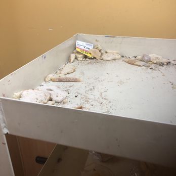 Ralphs - This is the rotten and moldy debris that's been lying out on one of the racks selling food to customers. - Grocery Near Me - Sherman Oaks, California Ralphs - This is the rotten and moldy debris that's been lying out on one of the racks selling food to customers. - Grocery Near Me - Sherman Oaks, California