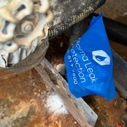 Bama Leak Detection