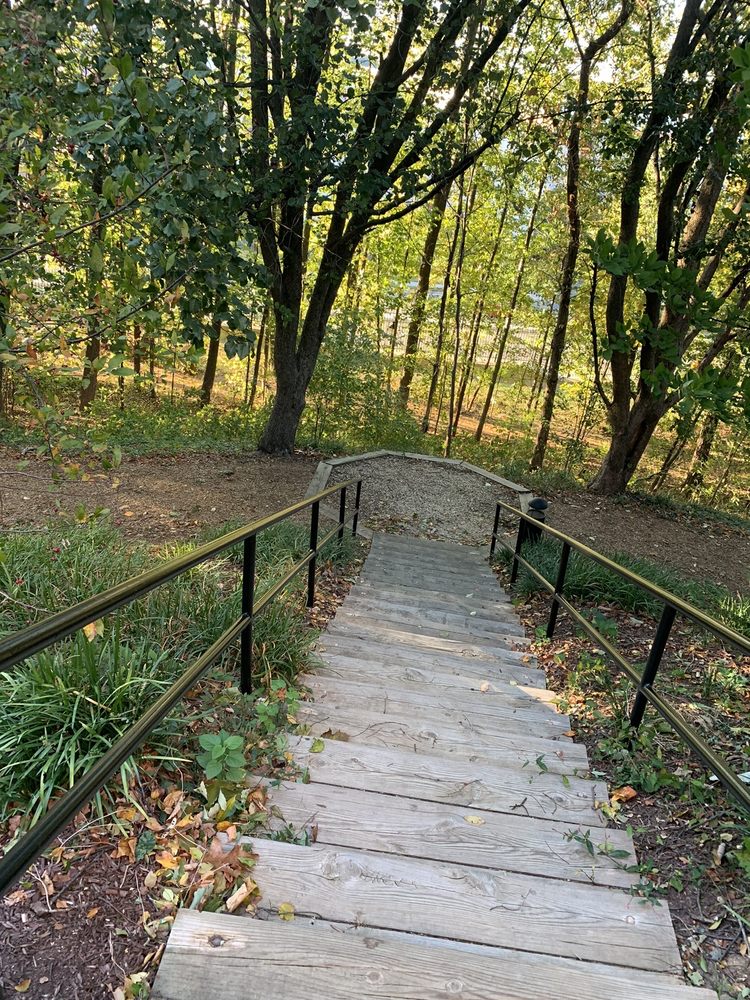 THE ROTONDA CONDOMINIUMS 12 Reviews 8352 Greensboro Dr, McLean, Virginia Condominiums