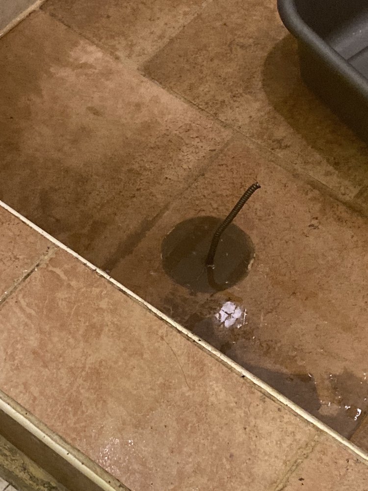 Slide of A 49.95 Any Sewer or Drain