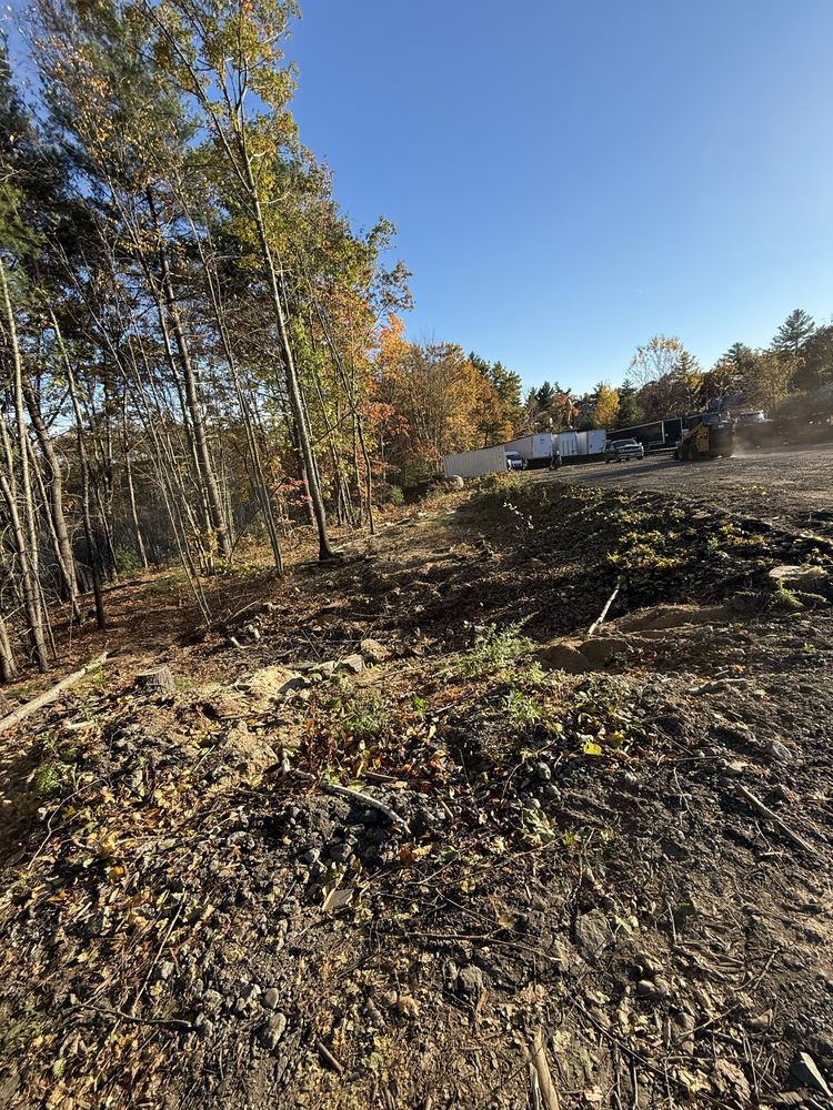 Limitless Tree and Property Services - tree service in Pascoag, RI