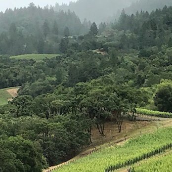 Promontory - Wineries Near Me - Oakville, California