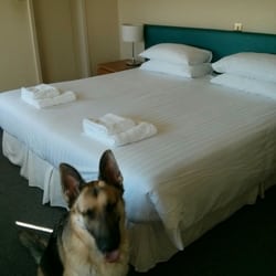 White Rock Hotel - Nice room and dog friendly