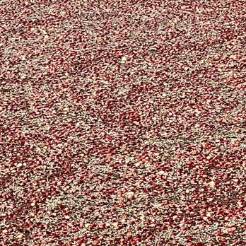 Fresh From The Vine - Cranberries - Food Stands Near Me - West Yarmouth, Massachusetts Fresh From The Vine - Cranberries - Food Stands Near Me - West Yarmouth, Massachusetts