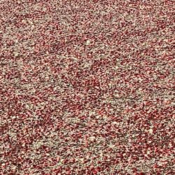 Fresh From The Vine - Cranberries