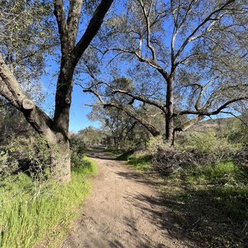 Ramona Oaks Shade Trail - Hiking Near Me - Ramona, California Ramona Oaks Shade Trail - Hiking Near Me - Ramona, California