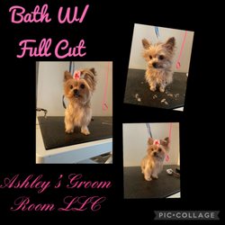 Ashley’s Groom Room - Bath and Full Haircut