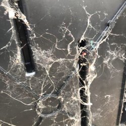 Lincare