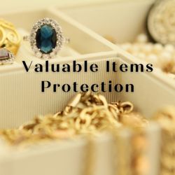 The Lowa Group - We offer valuable items insurance! Contact us today for a quote! (610) 327-1980