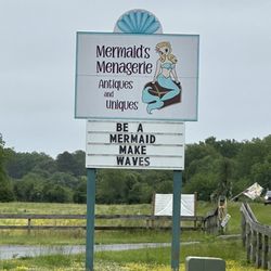 Mermaid’s Menagerie - They aren't kidding when they say uniques!!!