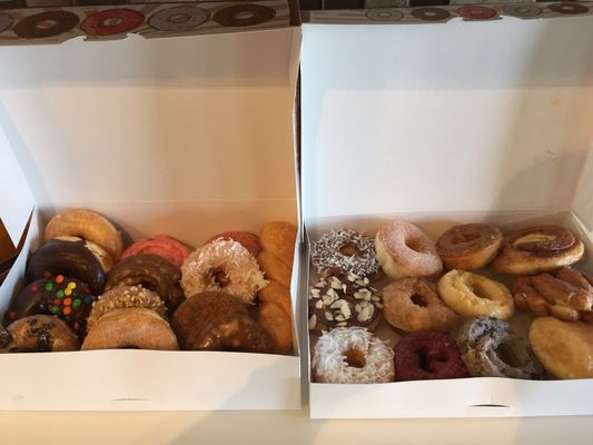 The Donut House by null