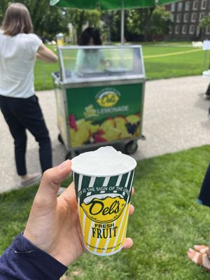 Del's Lemonade by null