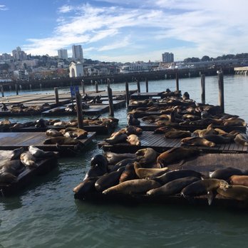 PIER 39 - Shopping Centers Near Me - San Francisco, California PIER 39 - Shopping Centers Near Me - San Francisco, California