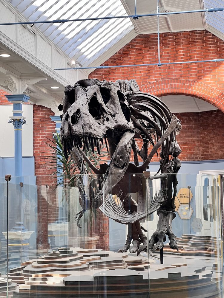 DUBLIN ZOO Updated September 2024 317 Photos & 102 Reviews