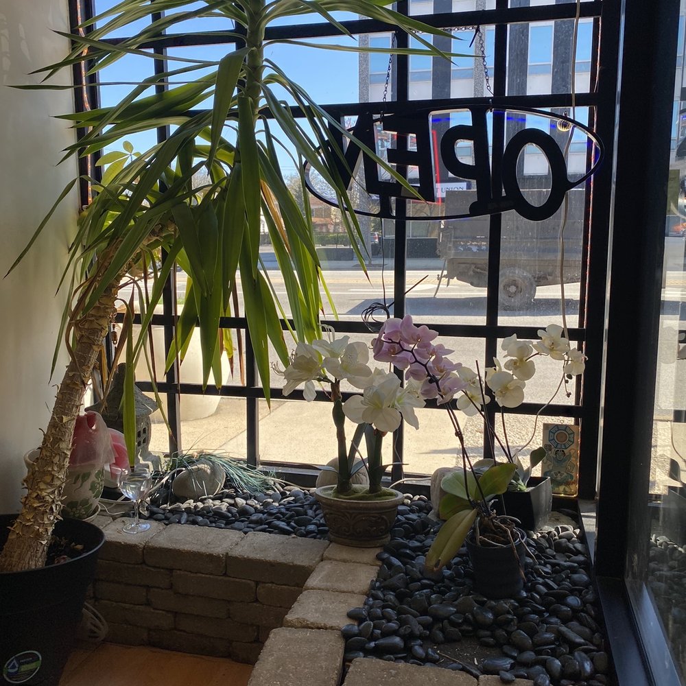 Chai's Asian Bistro - Cute plants - Asian Fusion Near Me - Chicago, Illinois