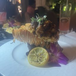 Casa Surf & Turf -- Ny Strip
